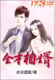 《全才相婿》小说封面