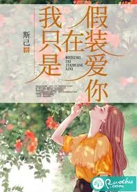 《我只是在假装爱你》小说封面