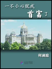 《一不小心就成首富了》小说封面