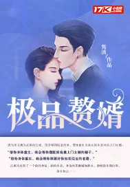 《极品赘婿》小说封面