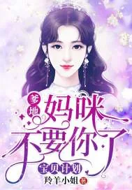 《宝贝计划:爹地,妈咪不要你了》小说封面