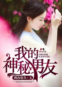 《我的神秘男友》小说封面