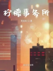 《柠檬解忧屋》小说封面