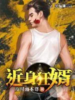 《近身狂婿》小说封面