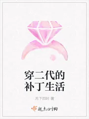 《穿二代的补丁生活》小说封面