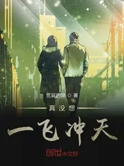 《真没想一飞冲天》小说封面