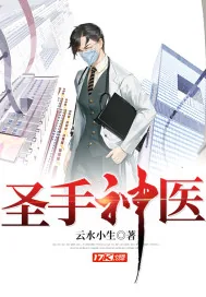 《圣手神医》小说封面