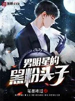 《男明星的黑粉头子》小说封面