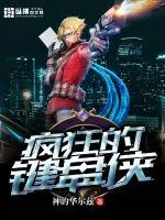 《疯狂的键盘侠》小说封面