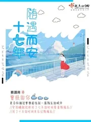 《随遇而安十七年》小说封面