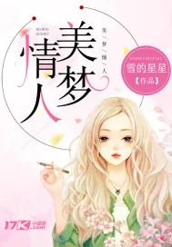 《美梦情人》小说封面