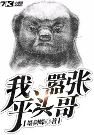 《我，嚣张平头哥》小说封面