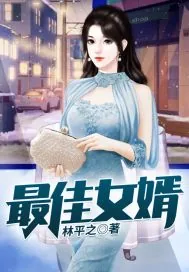 《最佳女婿.》小说封面