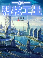《魔幻科技工业》小说封面
