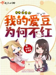 《我的爱豆为何不红》小说封面