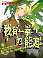 《我有一拳的能力》小说封面
