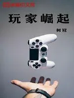 《玩家崛起》小说封面