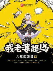 《我老婆超凶》小说封面