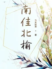 《南佳北榆》小说封面