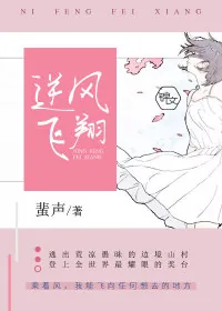 《逆风飞翔》小说封面