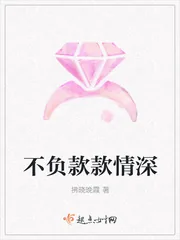《不负款款情深》小说封面