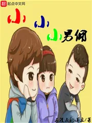 《小小小男佣》小说封面