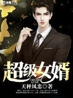 《超级女婿》小说封面