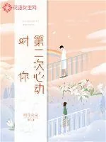 《对你第二次心动》小说封面