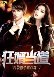 《狂婿当道》小说封面