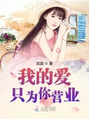 《我的爱只为你营业》小说封面