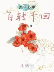 《少年心事百转千回》小说封面
