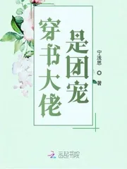 《穿书大佬是团宠》小说封面