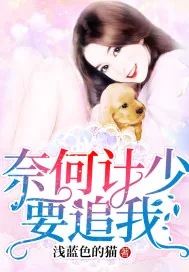 《奈何计少要追我》小说封面