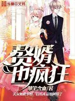《赘婿也疯狂》小说封面