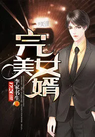 《完美女婿》小说封面
