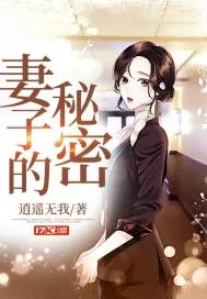 《妻子的秘密》小说封面
