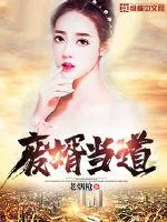 《废婿当道》小说封面