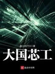 《大国芯工》小说封面