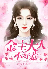 《金主大人不好惹》小说封面