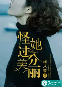 《怪她过分美丽》小说封面