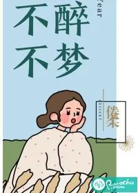 《不醉不梦》小说封面
