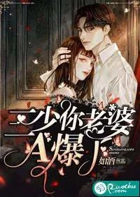 《三少,你老婆A爆了!》小说封面