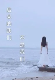 《后来的我们不是我们》小说封面