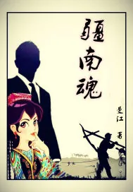 《疆南魂》小说封面
