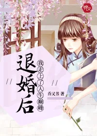 《退婚后我走上了人生巅峰》小说封面