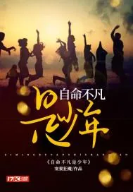 《自命不凡是少年》小说封面
