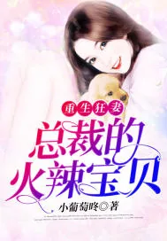 《重生狂妻：总裁的火辣宝贝》小说封面