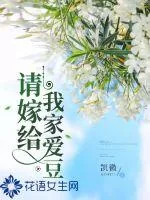 《请嫁给我家爱豆》小说封面