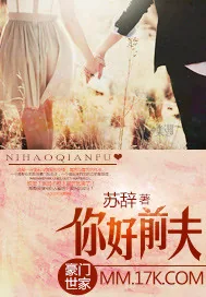 《你好前夫》小说封面