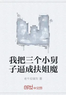 《我把三个小舅子逼成扶姐魔》小说封面